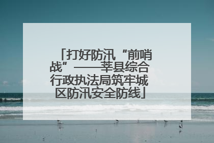 打好防汛“前哨战”——莘县综合行政执法局筑牢城区防汛安全防线