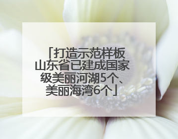 打造示范样板 山东省已建成国家级美丽河湖5个、美丽海湾6个