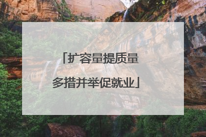扩容量提质量 多措并举促就业