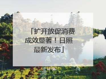 扩开放促消费成效显著！日照最新发布