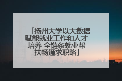 扬州大学以大数据赋能就业工作和人才培养 全链条就业帮扶畅通求职路