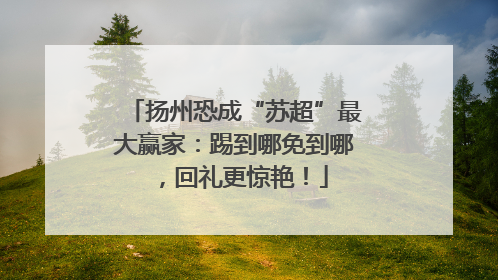 扬州恐成“苏超”最大赢家：踢到哪免到哪，回礼更惊艳！