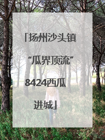 扬州沙头镇“瓜界顶流”8424西瓜进城
