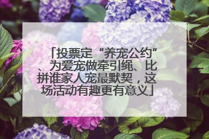 投票定“养宠公约”、为爱宠做牵引绳、比拼谁家人宠最默契，这场活动有趣更有意义