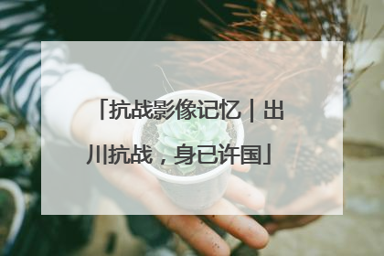 抗战影像记忆｜出川抗战，身已许国
