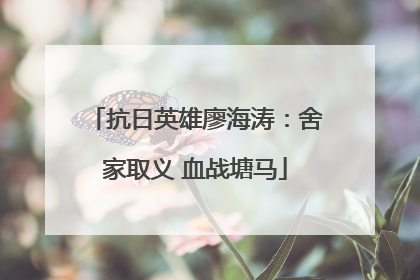 抗日英雄廖海涛：舍家取义 血战塘马
