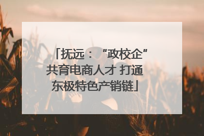 抚远：“政校企”共育电商人才 打通东极特色产销链
