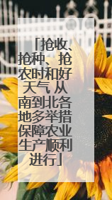 抢收、抢种、抢农时和好天气 从南到北各地多举措保障农业生产顺利进行