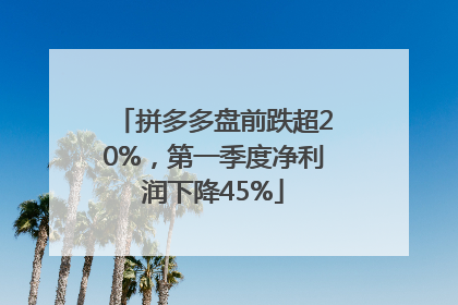 拼多多盘前跌超20%，第一季度净利润下降45%