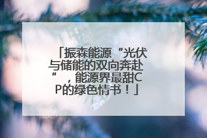 振森能源“光伏与储能的双向奔赴”，能源界最甜CP的绿色情书！