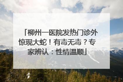 柳州一医院发热门诊外惊现大蛇！有毒无毒？专家辨认：性情温顺