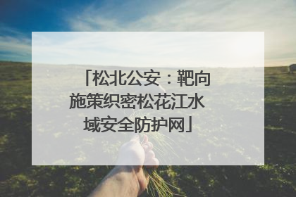 松北公安：靶向施策织密松花江水域安全防护网