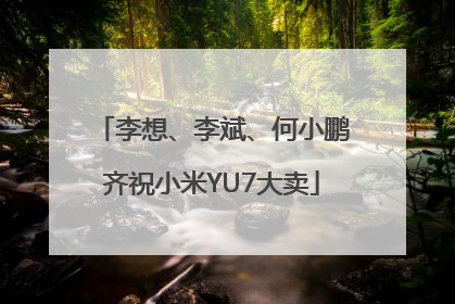 李想、李斌、何小鹏齐祝小米YU7大卖