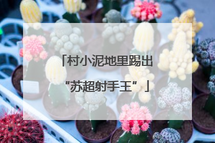 村小泥地里踢出“苏超射手王”