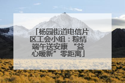 杨园街道电信片区工会小组：粽情端午送安康 “益心暖新”零距离