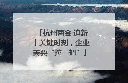 杭州两会·追新丨关键时刻，企业需要“拉一把”