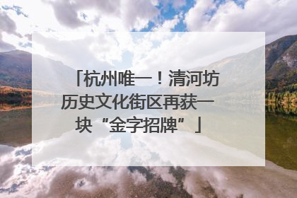 杭州唯一！清河坊历史文化街区再获一块“金字招牌”