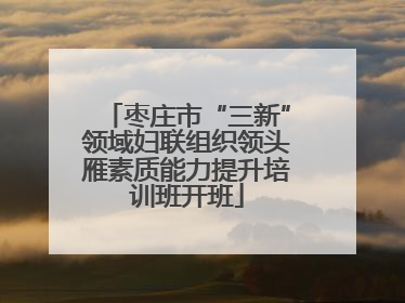 枣庄市“三新”领域妇联组织领头雁素质能力提升培训班开班
