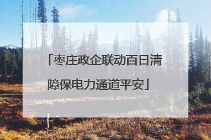 枣庄政企联动百日清障保电力通道平安