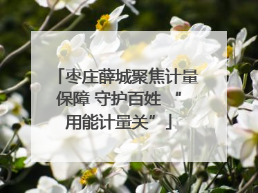 枣庄薛城聚焦计量保障 守护百姓 “用能计量关”