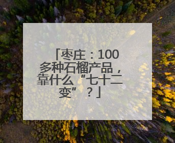 枣庄：100多种石榴产品，靠什么“七十二变”？