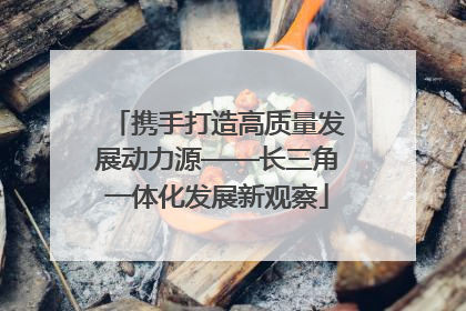 携手打造高质量发展动力源——长三角一体化发展新观察