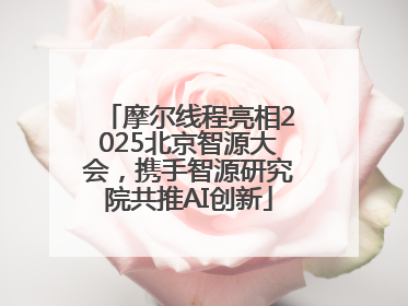 摩尔线程亮相2025北京智源大会，携手智源研究院共推AI创新