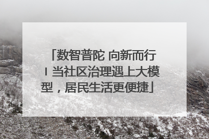 数智普陀 向新而行〡当社区治理遇上大模型，居民生活更便捷