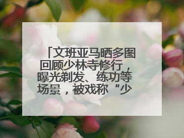 文班亚马晒多图回顾少林寺修行，曝光剃发、练功等场景，被戏称“少林第一高僧”