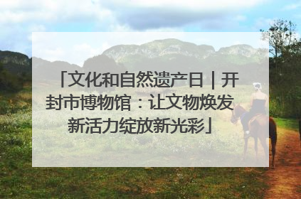 文化和自然遗产日｜开封市博物馆：让文物焕发新活力绽放新光彩