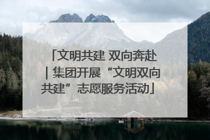 文明共建 双向奔赴｜集团开展“文明双向共建”志愿服务活动