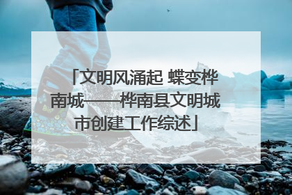 文明风涌起 蝶变桦南城——桦南县文明城市创建工作综述
