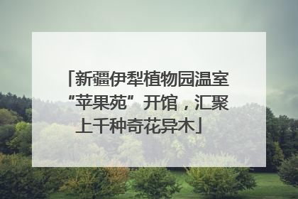 新疆伊犁植物园温室“苹果苑”开馆，汇聚上千种奇花异木