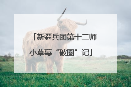 新疆兵团第十二师小草莓“破圈”记