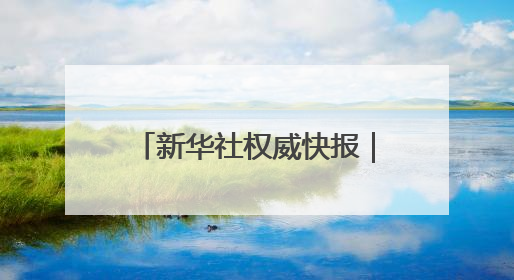 新华社权威快报｜中欧班列累计开行110000列