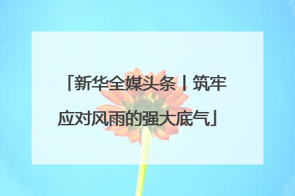 新华全媒头条丨筑牢应对风雨的强大底气