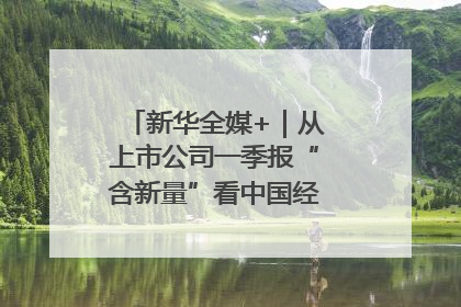 新华全媒+｜从上市公司一季报“含新量”看中国经济发展向“新”