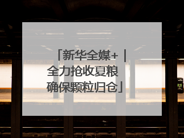 新华全媒+｜全力抢收夏粮 确保颗粒归仓