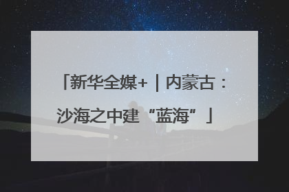 新华全媒+｜内蒙古：沙海之中建“蓝海”