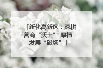 新化高新区：深耕营商“沃土” 厚植发展“磁场”
