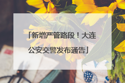 新增严管路段！大连公安交警发布通告