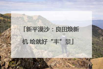 新平漠沙：良田焕新机 绘就好“丰”景