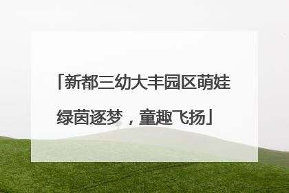 新都三幼大丰园区萌娃绿茵逐梦，童趣飞扬