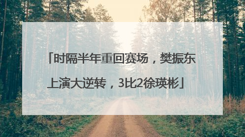 时隔半年重回赛场，樊振东上演大逆转，3比2徐瑛彬