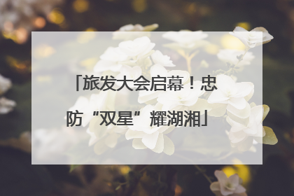 旅发大会启幕！忠防“双星”耀湖湘