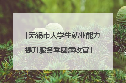 无锡市大学生就业能力提升服务季圆满收官