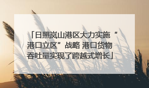 日照岚山港区大力实施“港口立区”战略 港口货物吞吐量实现了跨越式增长