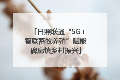 日照联通“5G+智联畜牧养殖”赋能碑廓镇乡村振兴