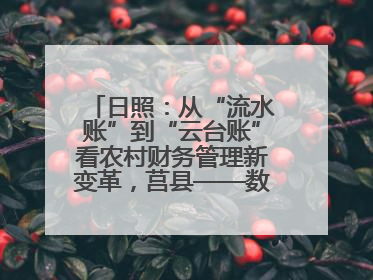 日照：从“流水账”到“云台账”看农村财务管理新变革，莒县——数字赋能激活乡村振兴“一池春水”