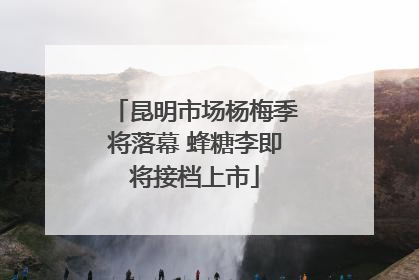 昆明市场杨梅季将落幕 蜂糖李即将接档上市